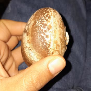 Sürpriz Yumurta Ozmo Yumurta