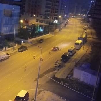 Edirne Belediyesi Sokak Köpekleri Sorunu