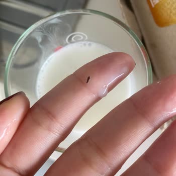 Sütaş Ayran Böcek Çıktı