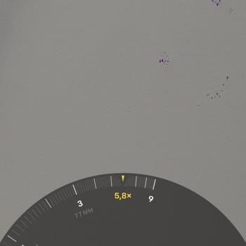 iPhone 13 Pro Kamera Mor Leke