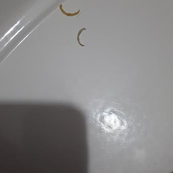 Şampiyon Kokoreç Kokoreç İçinden Çıkan İnsan Tırnağı