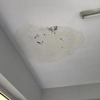 Işılay Saygın Güzel Sanatlar Lisesindeki Yetersizlik