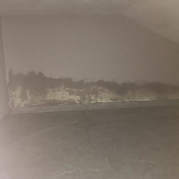 Işılay Saygın Güzel Sanatlar Lisesindeki Yetersizlik