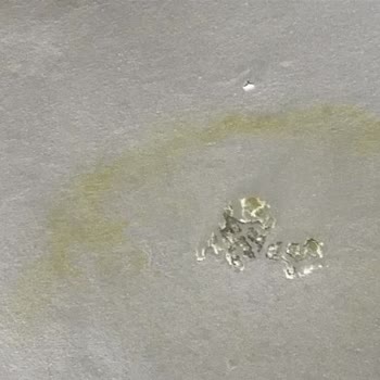 Işılay Saygın Güzel Sanatlar Lisesindeki Yetersizlik