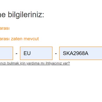 Dyson Seri Numarası Kayıtlı Hatası