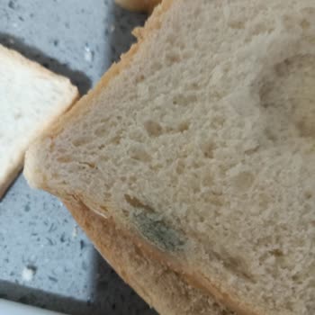 Fare Girmiş Uno Ekmek Paketi