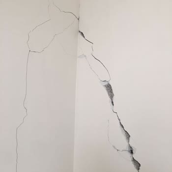 DASK (Doğal Afet Sigortaları Kurumu) Hasar Ödemesi Yetersiz Kaldı