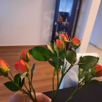 Çiçek Sepeti Çiçek Mağduriyeti