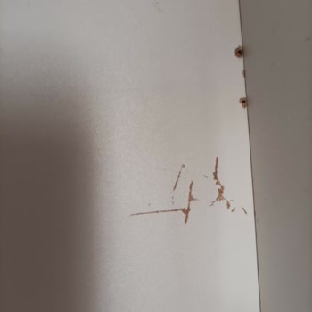 Evim Nakliyat Taşınma Kabusu: Eşyalar Zarar Gördü