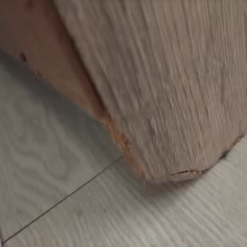 Evim Nakliyat Taşınma Kabusu: Eşyalar Zarar Gördü