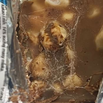 Ozmo Farm (şölen Örümcek Ağlı Çikolata )