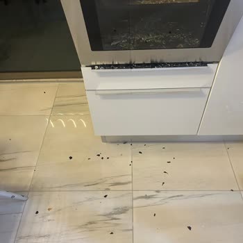 Franke Ankastre Fırın İç Camının Sürekli Patlaması