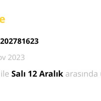 Stradivarius Sipariş Teslimatının Belirtilen Tarihlerde Yapılmaması, İletişimsizlik