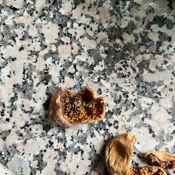 İncir Cenneti Adlı Firma Bozuk Ürün Gönderiyor.