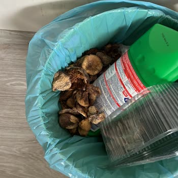 İncir Cenneti Adlı Firma Bozuk Ürün Gönderiyor.