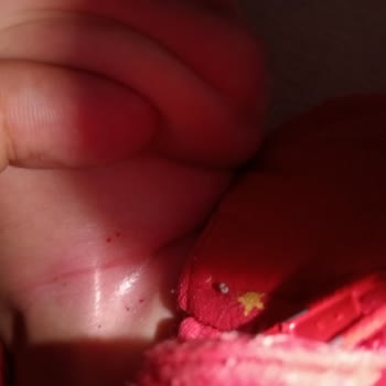DeFacto Bebek Uyku Tulumu Fermuar Renk Atması