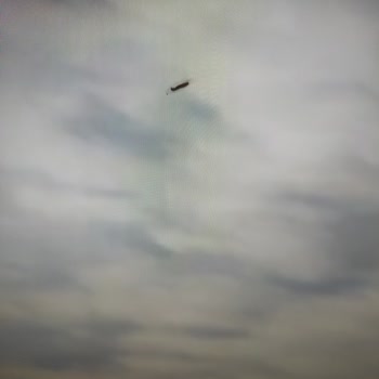 PHILIPS TV Philips Marka Televizyonun Ekranında Kurt Var.