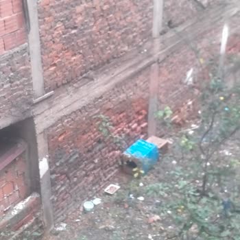 Esenler Belediyesi Benim Arka Bahçemde Komşum Kedi Besliyor.