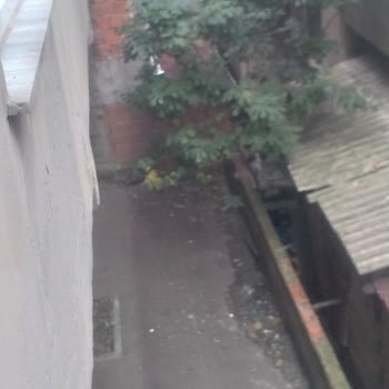 Esenler Belediyesi Benim Arka Bahçemde Komşum Kedi Besliyor.