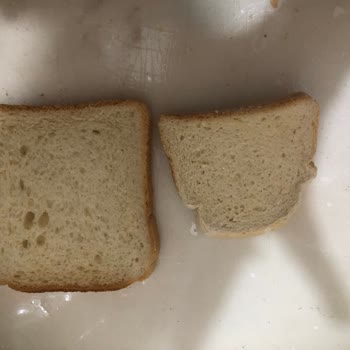 UNO Ekmek Tost Ekmeğinin Yokluğu