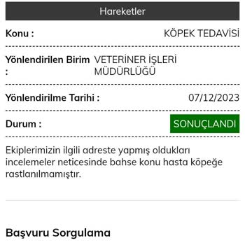 Bayraklı Belediyesi Hasta Köpeğe Günlerdir Yardım Gelmemesi