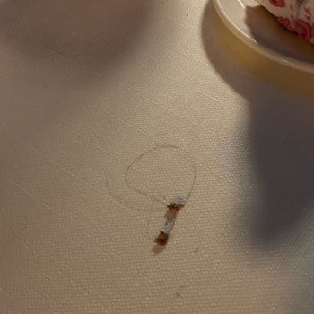 Dilek Pastanesi Pastadan Saç Çıkması