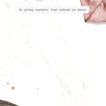 WhatsApp +62 877-8662-46297 Böyle Bir Numaradan Mesaj Geldi