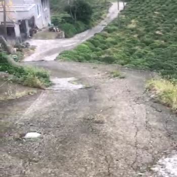 Tapu ve Kadastro Genel Müdürlüğü Yaşam Koşullarını Etkileyen Köy Yolundan Yetkililer Sorumludur.