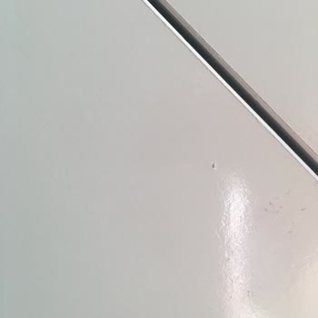 Bellona Valesco Yemek Koltuk Takımı