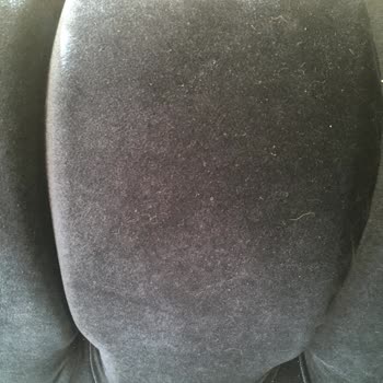 Bellona Valesco Yemek Koltuk Takımı