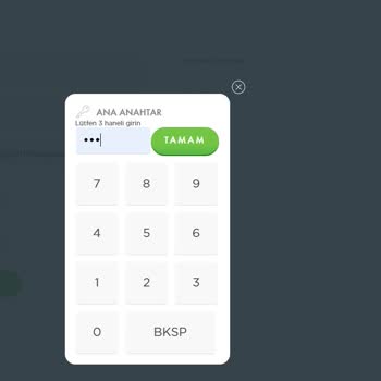 Payeer 3 Haneli Doğrulama Kodu