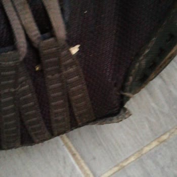 Skechers Spor Ayakkabının Yırtılması