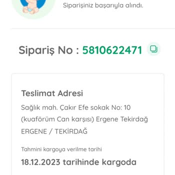 Ebebek Oyuna Getirme Milleti