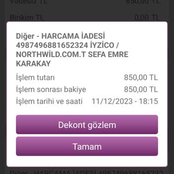 North Of Wild North Will Of Ayakkabı Online Alışveriş