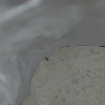 Arı Mama Paket Mamada Böcek Olduğunu Fark Ettim