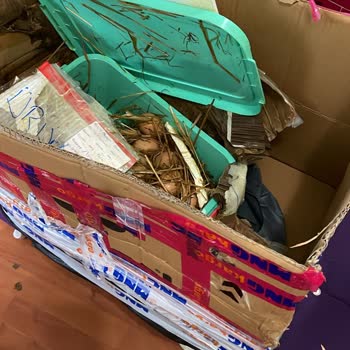 MNG Kargo Hasar Gören Paketim