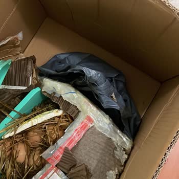 MNG Kargo Hasar Gören Paketim