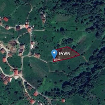 Rize Belediyesi Yol Eğiminin Yaşam Koşullarının Dışında