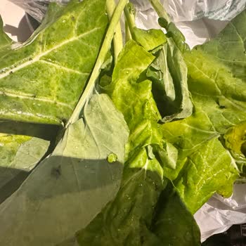 Onur Market Müşterilerini Bozuk Ürünleriyle Zehirliyor