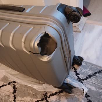 Anadolu Ulaşım Anadolu Firması Valizimizi Kırdı.