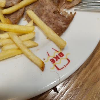 Bursa Kebap Evi Yemekte Çıkan Saç