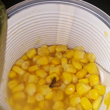 BİM Yurdum Marka Konserveden Arı Çıktı