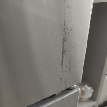 Bosch Buzdolabı Kapağında Renk Atması