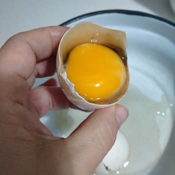 HasTavuk İçi Küflenmiş Yumurta