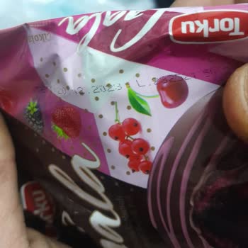 Torku Kek İçinden Kurt Çıktı