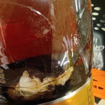 Didi Soğuk Çayda Yabancı Cisim