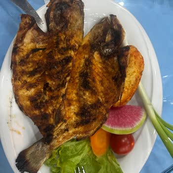 Denizaltı Balık Adana Soslu Balık Sorunu