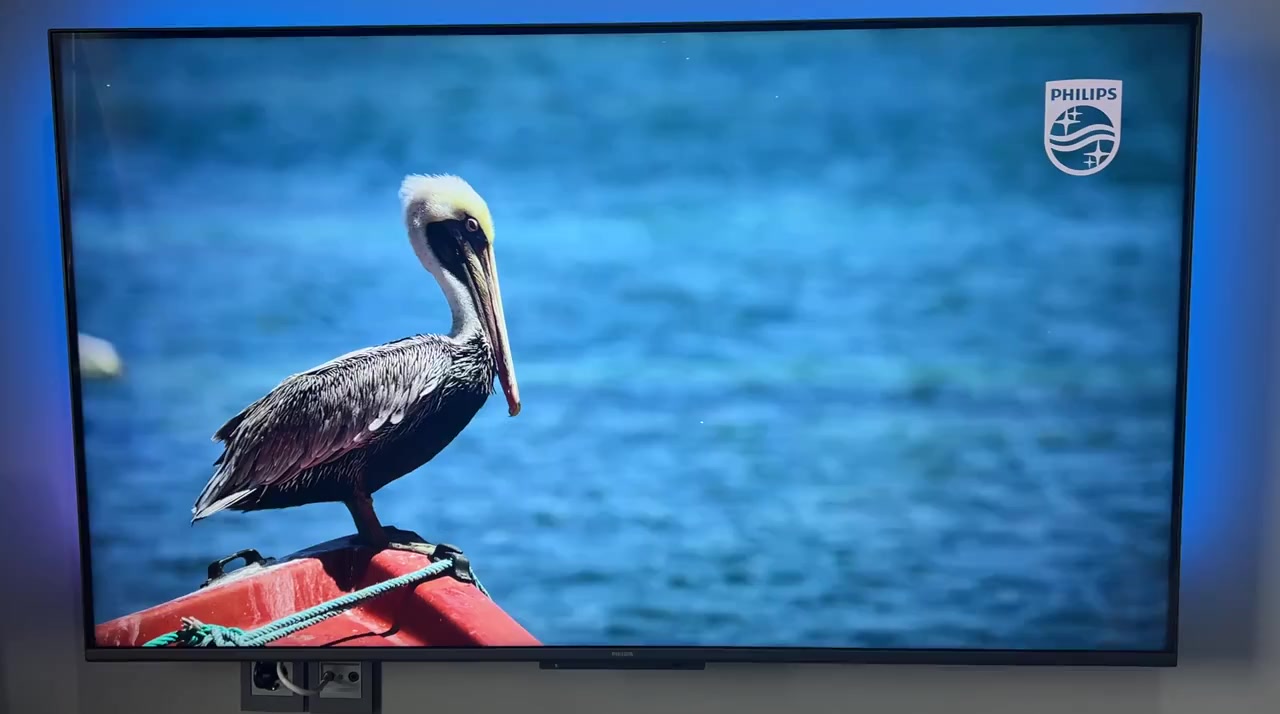 Philips 55pus8108/62 TV Has White Dots Flashing on the Screen video cover