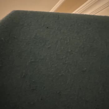 U.S. Polo Assn. Polo Marka Swet Kalitesi