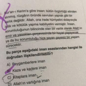 Bes Yayınları'nın Saçma Soruları